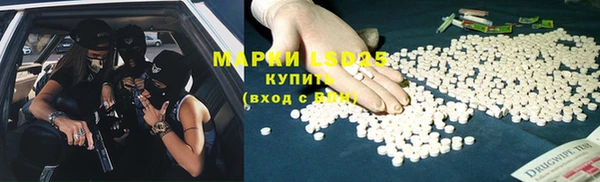 стафф Нефтекумск