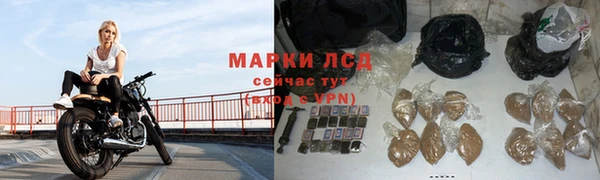 стафф Нефтекумск