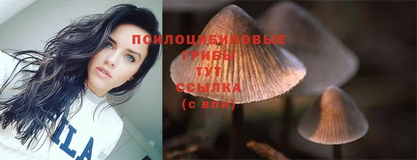 альфа пвп Нея