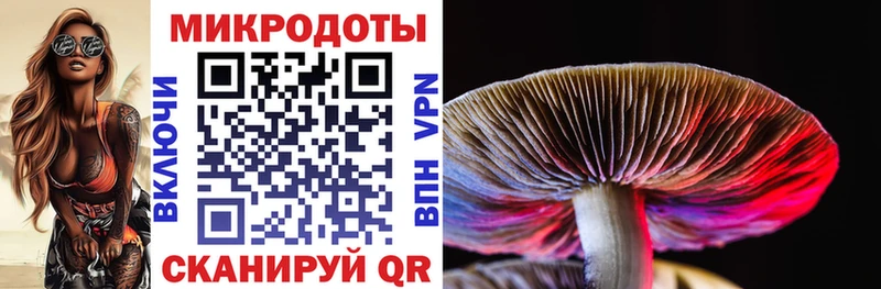 магазин продажи наркотиков  Павлово  Псилоцибиновые грибы MAGIC MUSHROOMS 