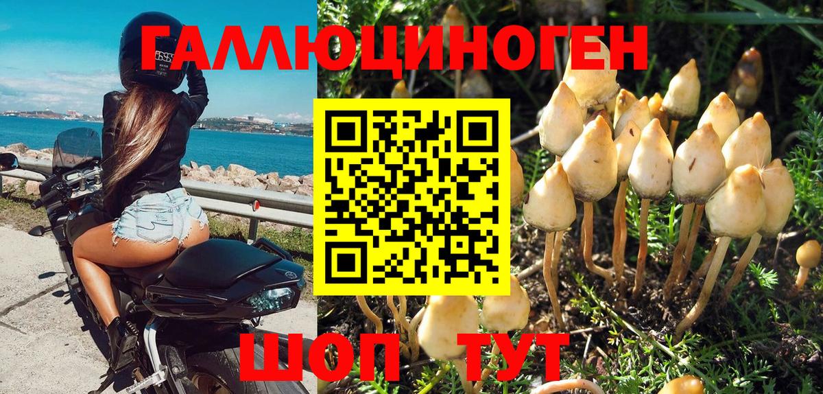 Галлюциногенные грибы Cubensis Павлово