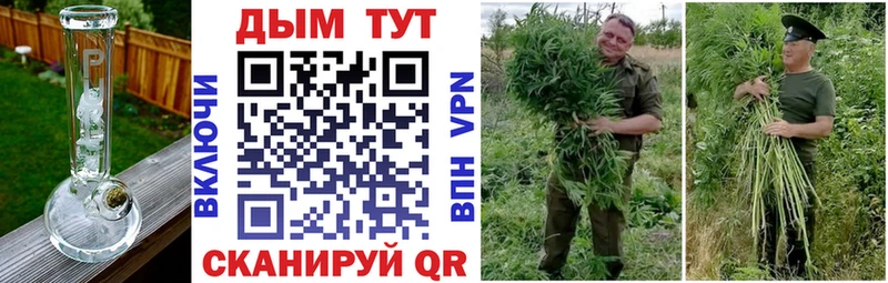 как найти закладки  Павлово  Конопля ГИДРОПОН 