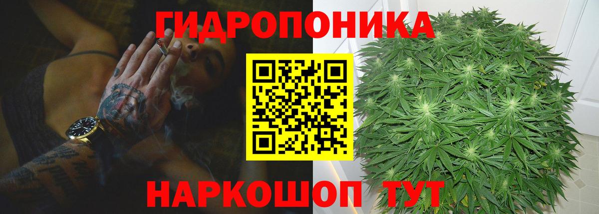 Конопля OG Kush Павлово